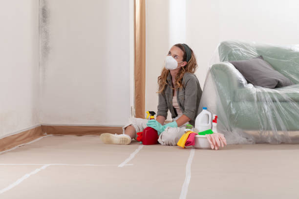 Trusted Basement Mold Remediation service in Sawyer, MI - Cheap Mold Removal